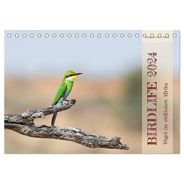 Birdlife - Vögel im südlichen Afrika (Tischkalender 2024 DIN A5 quer), CALVENDO Monatskalender, Silvia Trüssel