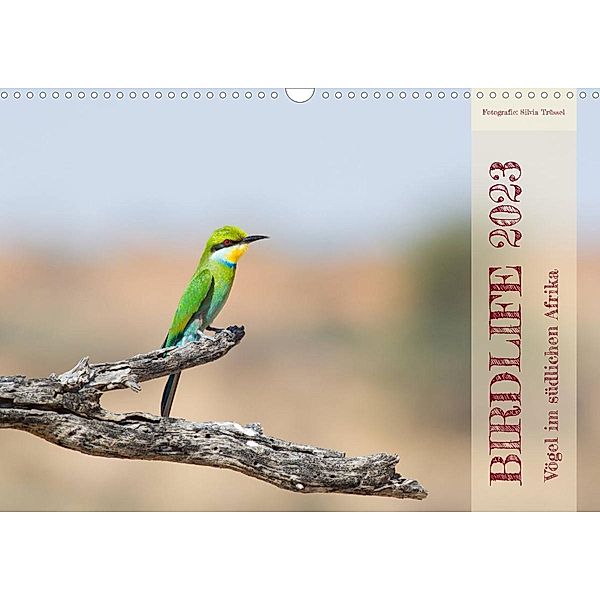 Birdlife - Vögel im südlichen Afrika (Wandkalender 2023 DIN A3 quer), Silvia Trüssel