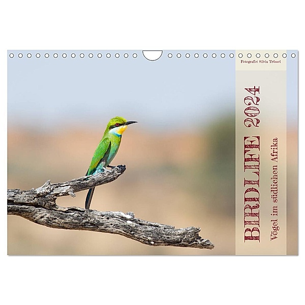 Birdlife - Vögel im südlichen Afrika (Wandkalender 2024 DIN A4 quer), CALVENDO Monatskalender, Silvia Trüssel