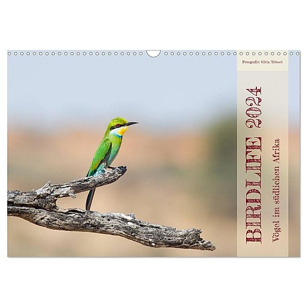 Birdlife - Vögel im südlichen Afrika (Wandkalender 2024 DIN A3 quer), CALVENDO Monatskalender, Silvia Trüssel