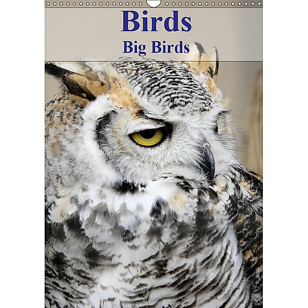 Birds Big Birds (Wall Calendar 2019 DIN A3 Portrait), Jon Grainge