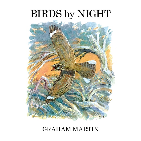 Birds by Night, Graham Martin
