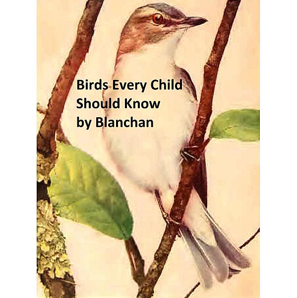 Birds Every Child Should Know, Neltje Blanchan