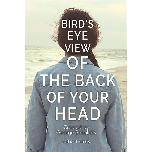 Bird's-Eye View of the Back of Your Head / God Complex Universe, George Saoulidis