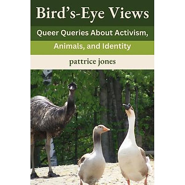 Bird's-Eye Views, Pattrice Jones