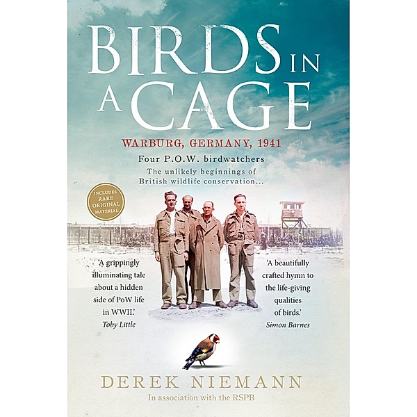 Birds in a Cage, Derek Niemann