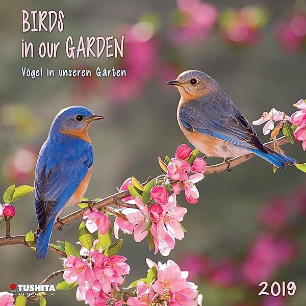 Birds in our Garden 2019