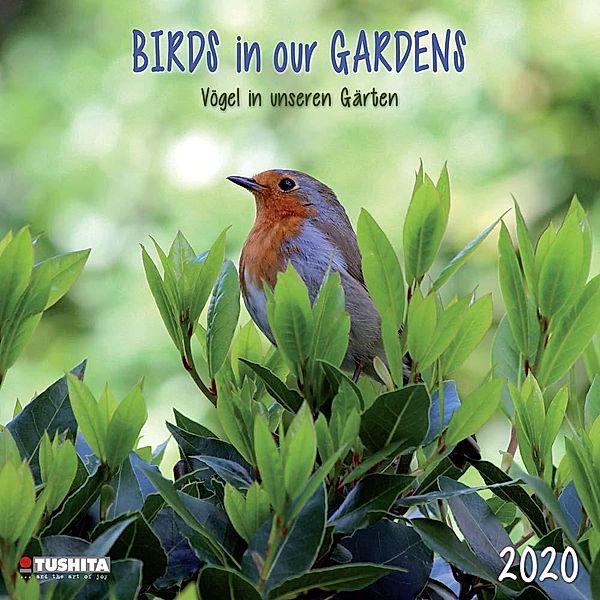 Birds in our Garden 2020