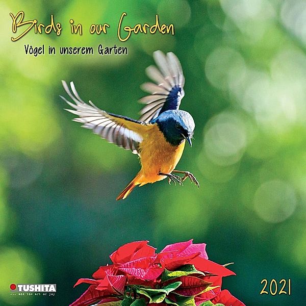 Birds in our Garden 2021