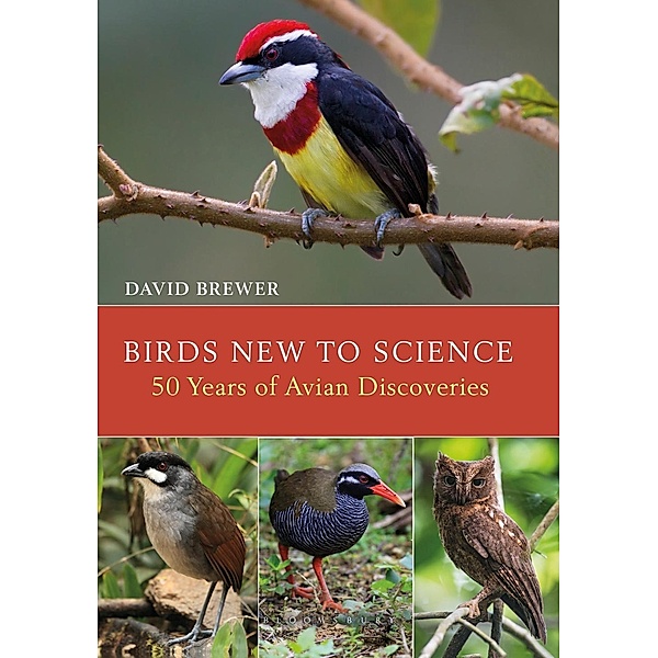 Birds New to Science, David Brewer