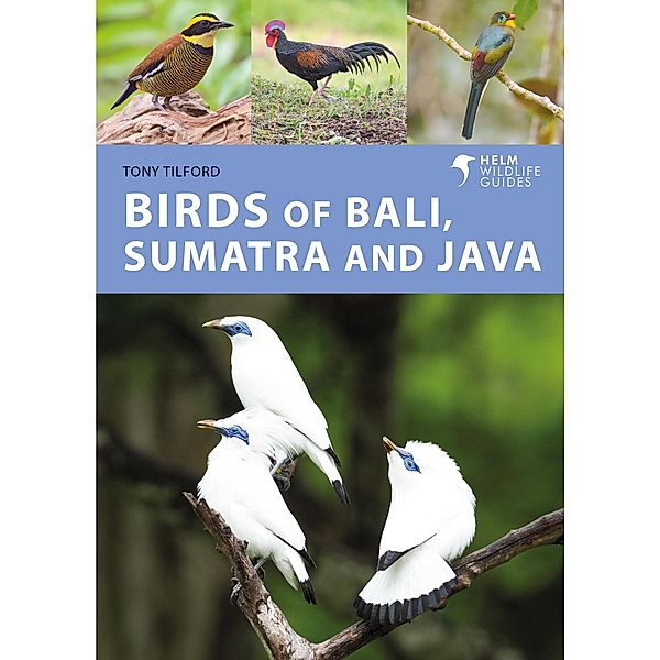 Birds of Bali, Sumatra and Java, Tony Tilford