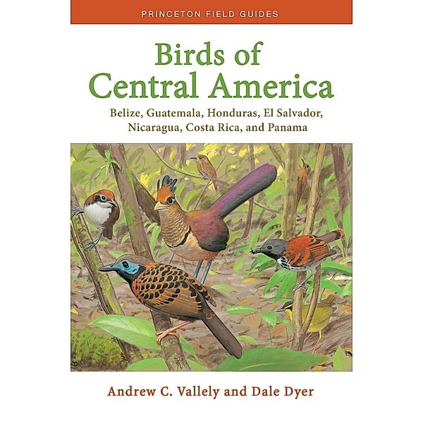 Birds of Central America / Princeton Field Guides Bd.1, Andrew Vallely, Dale Dyer