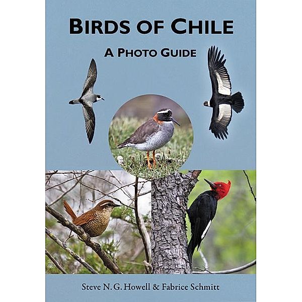 Birds of Chile, Steve N.G. Howell, Fabrice Schmitt