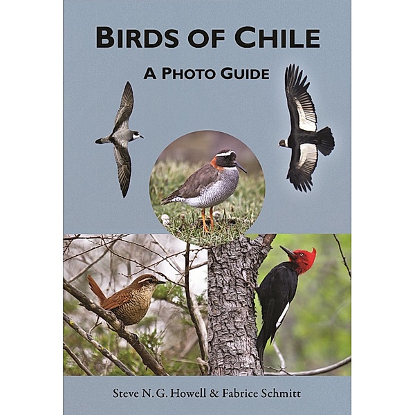 Birds of Chile, Steve N. G. Howell, Fabrice Schmitt