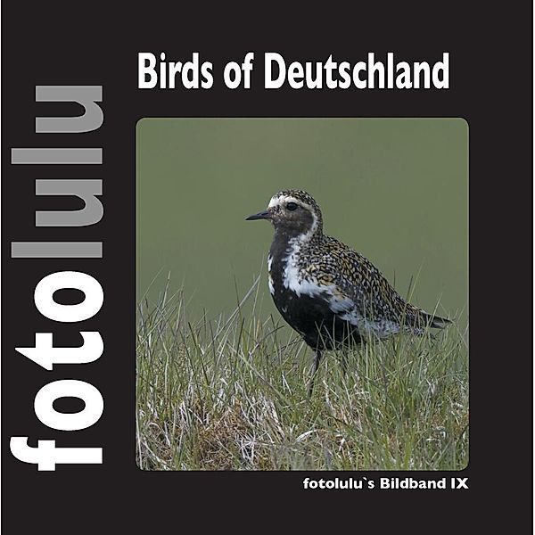 Birds of Deutschland, Fotolulu