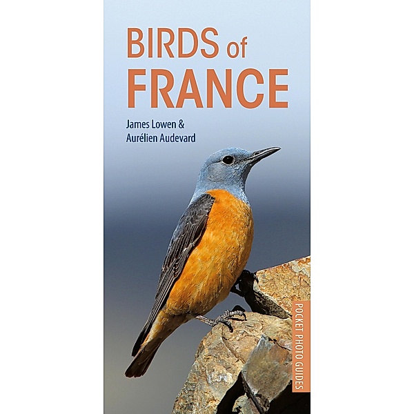 Birds of France, James Lowen, Aurélien Audevard