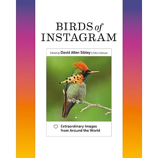 Birds of Instagram