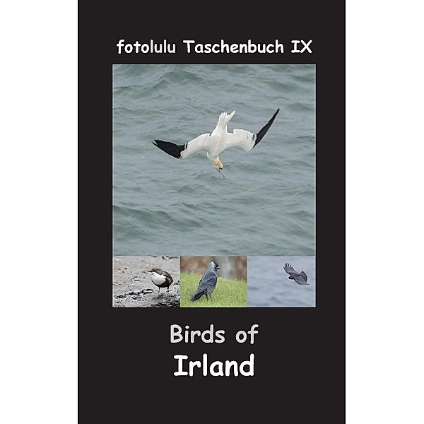 Birds of Irland, Fotolulu