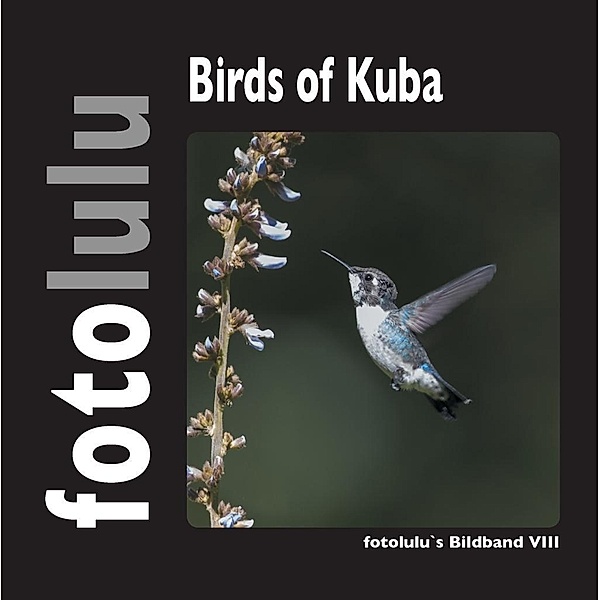 Birds of Kuba, Fotolulu