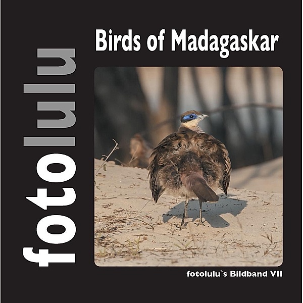 Birds of Madagaskar, Fotolulu