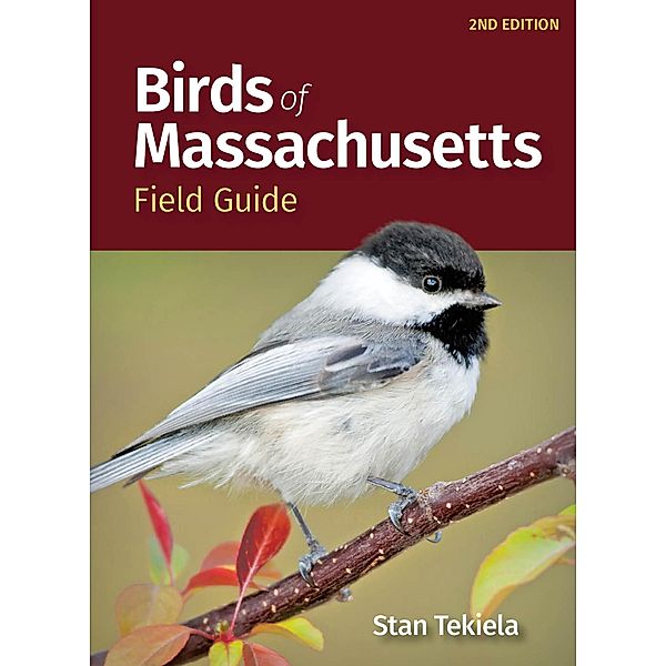 Birds of Massachusetts Field Guide / Bird Identification Guides, Stan Tekiela