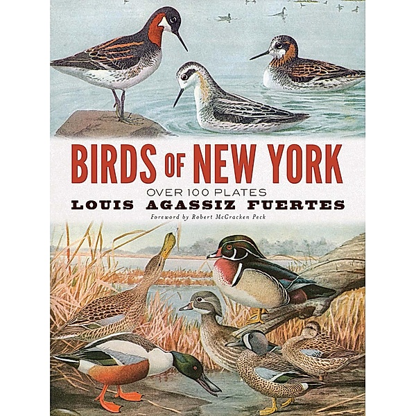 Birds of New York, Louis Agassiz Fuertes