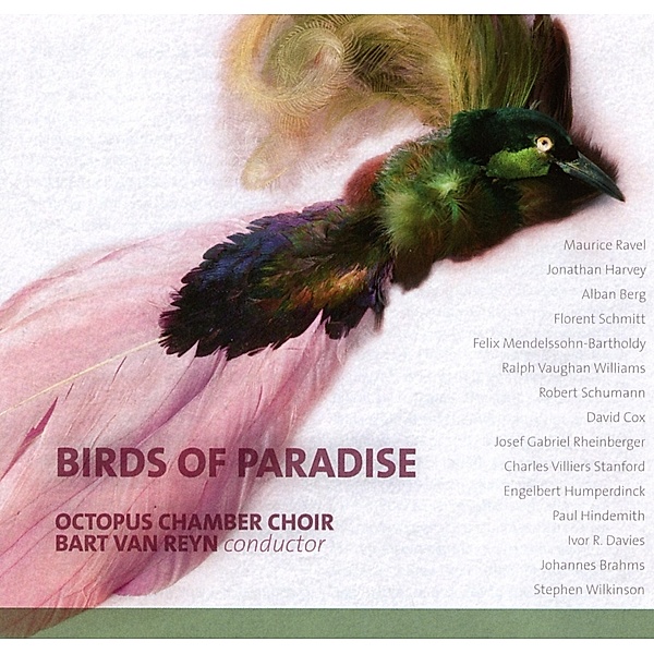 Birds Of Paradise-Chorwerke, Bart Van Reyn, Octopus Chamber Choir