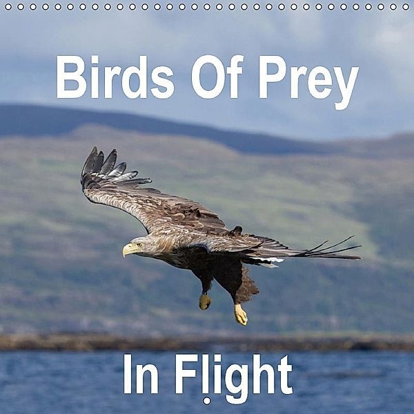 Birds Of Prey In Flight (Wall Calendar 2018 300 × 300 mm Square), Pete Walkden