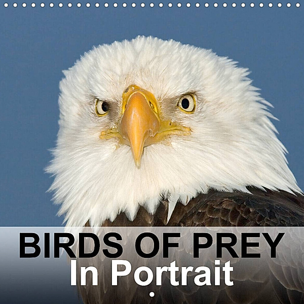 Birds Of Prey In Portrait (Wall Calendar 2023 300 × 300 mm Square), Birdimagency.com