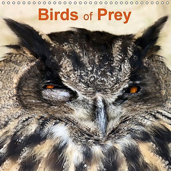 Birds of Prey (Wall Calendar 2018 300 × 300 mm Square), Jon Grainge