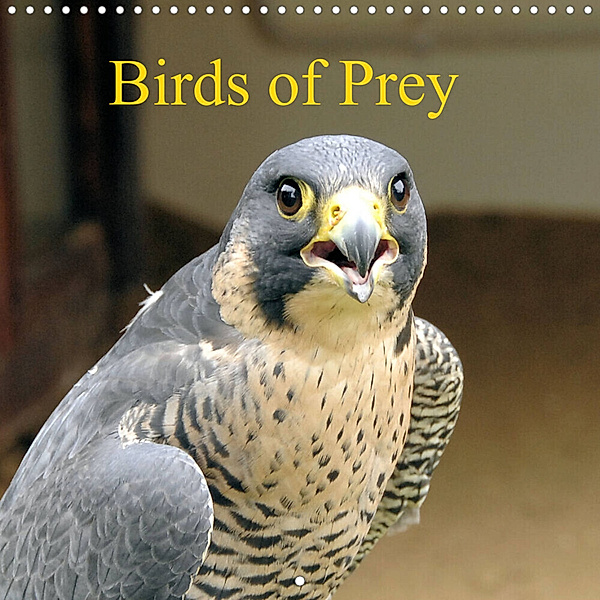 Birds of Prey (Wall Calendar 2023 300 × 300 mm Square), Jon Grainge
