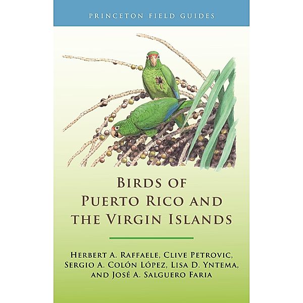 Birds of Puerto Rico and the Virgin Islands / Princeton Field Guides Bd.146, Herbert A. Raffaele, Clive Petrovic, Sergio A. Colón López, Lisa D. Yntema, José A. Salguero Faria