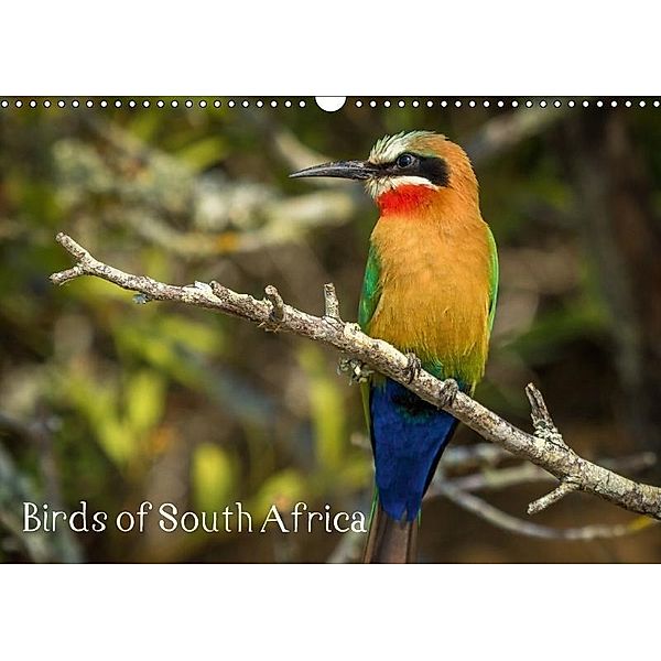 Birds of South Africa (Wall Calendar 2017 DIN A3 Landscape), Sybrand le Roux & Toon Sanders