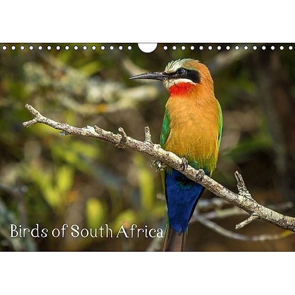 Birds of South Africa (Wall Calendar 2017 DIN A4 Landscape), Sybrand le Roux & Toon Sanders