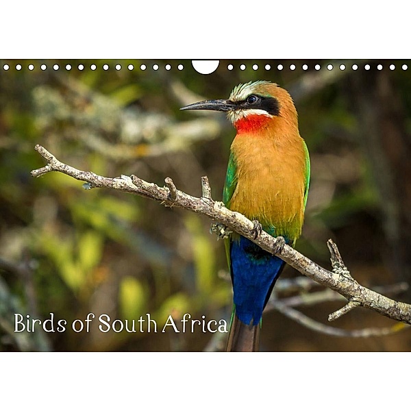 Birds of South Africa (Wall Calendar 2023 DIN A4 Landscape), Sybrand le Roux & Toon Sanders