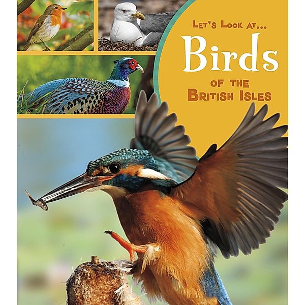 Birds of the British Isles, Lucy Beevor