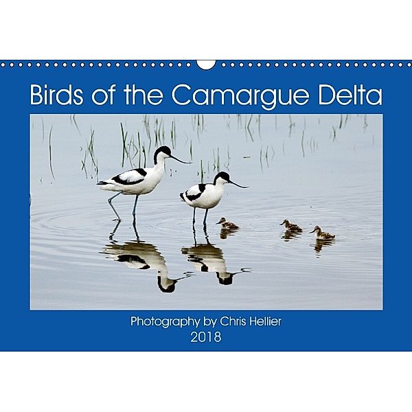 Birds of the Camargue Delta (Wall Calendar 2018 DIN A3 Landscape), Chris Hellier