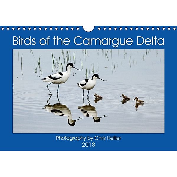 Birds of the Camargue Delta (Wall Calendar 2018 DIN A4 Landscape), Chris Hellier