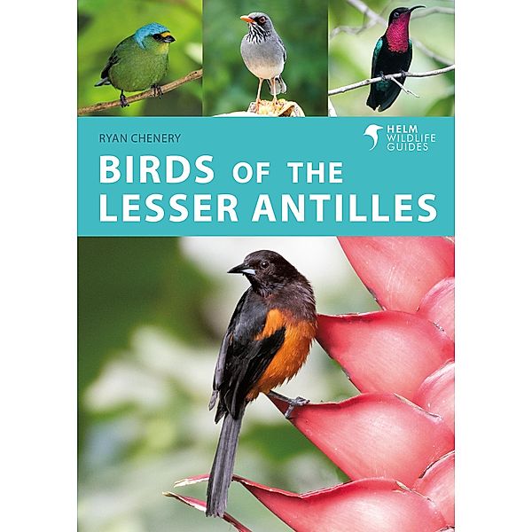 Birds of the Lesser Antilles, Ryan Chenery