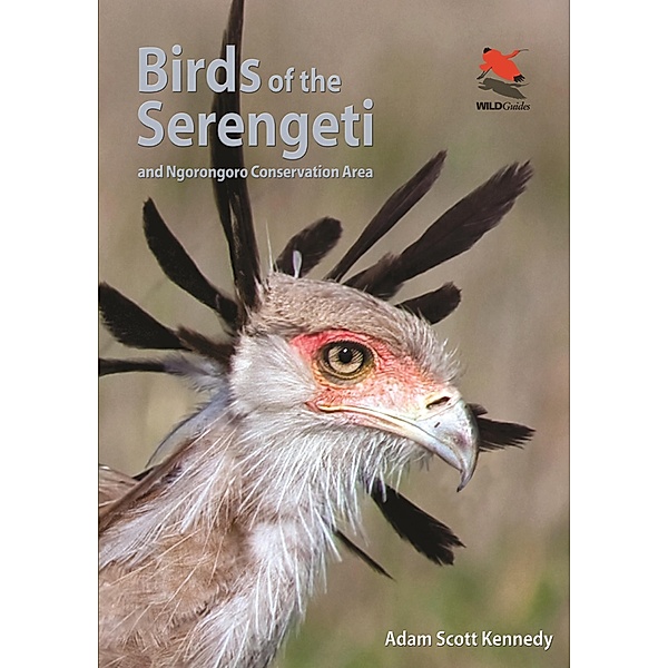 Birds of the Serengeti / Wildlife Explorer Guides, Adam Scott Kennedy