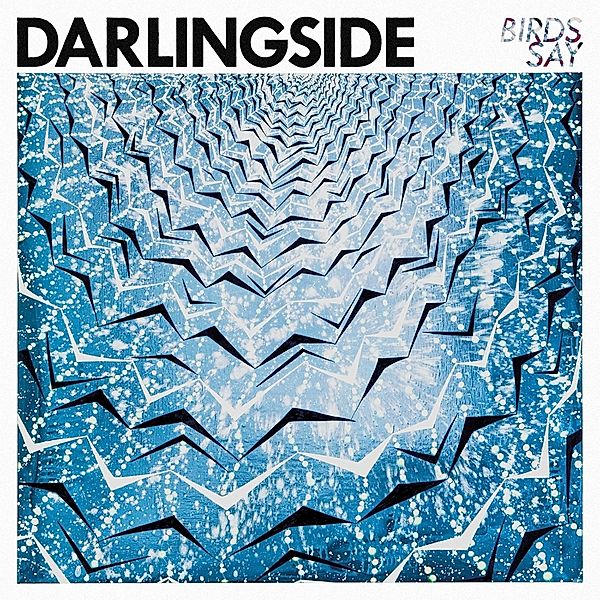 Birds Say (Vinyl), Darlingside