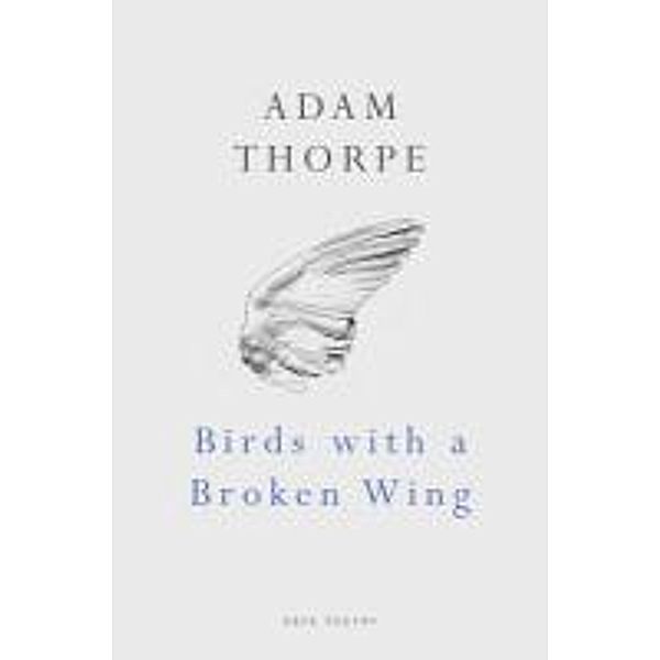 Birds With A Broken Wing / Vintage Digital, Adam Thorpe