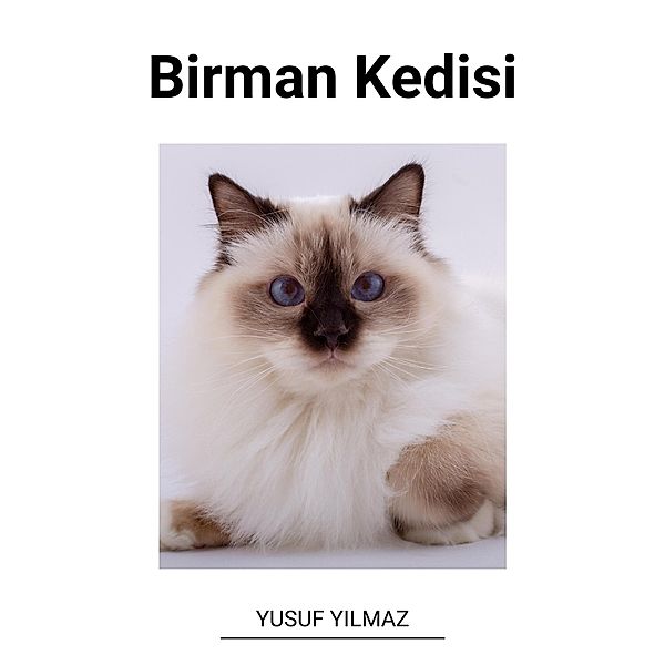 Birman Kedisi, Yusuf Yilmaz