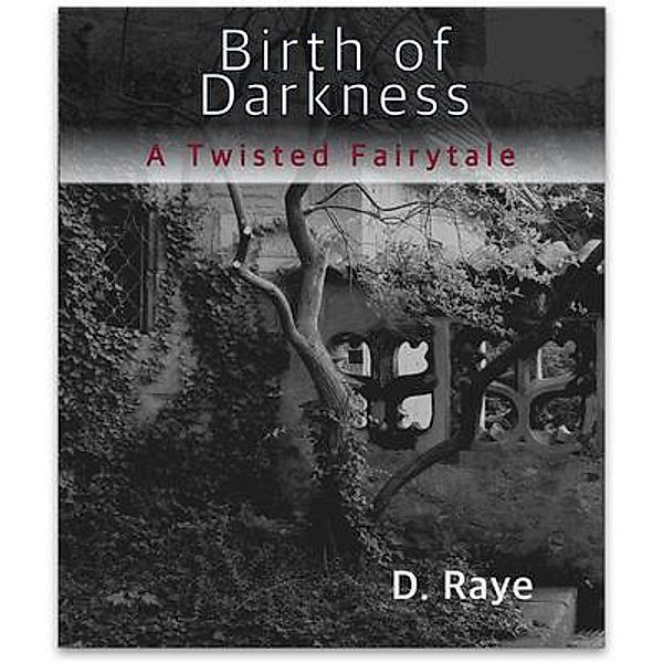 Birth of Darkness A Twisted Fairytale / D. Raye, D. Raye