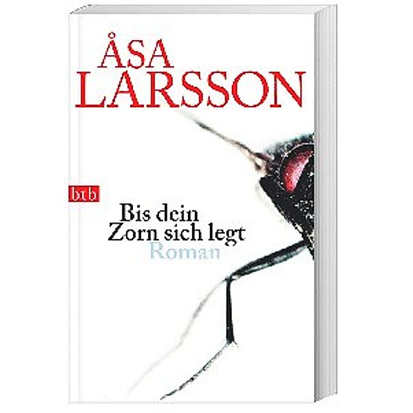 Bis dein Zorn sich legt / Rebecka Martinsson Bd.4, Åsa Larsson
