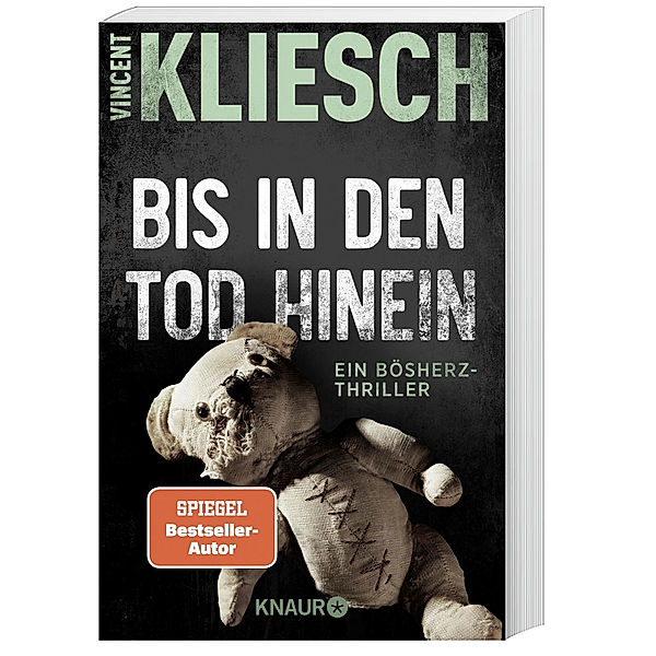 Bis in den Tod hinein / Kommissar Boesherz Bd.1, Vincent Kliesch