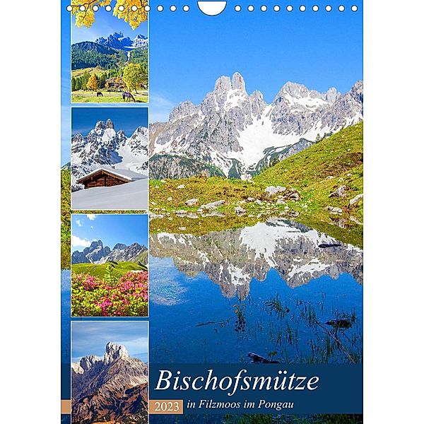 Bischofsmütze (Wandkalender 2023 DIN A4 hoch), Christa Kramer