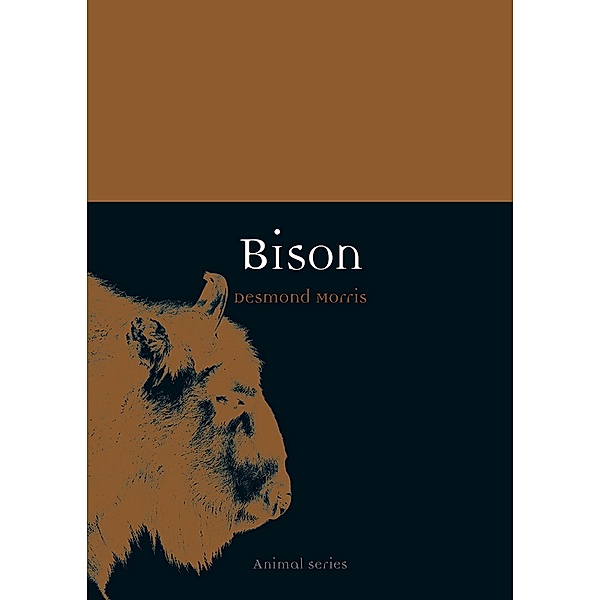 Bison / Animal, Morris Desmond Morris