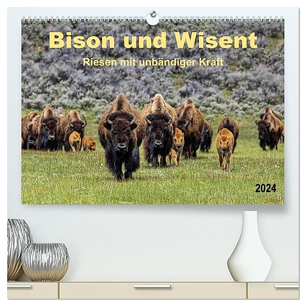 Bison und Wisent - Riesen mit unbändiger Kraft (hochwertiger Premium Wandkalender 2024 DIN A2 quer), Kunstdruck in Hochglanz, Peter Roder