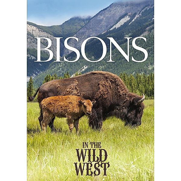 Bisons In The Wild West, Documentation